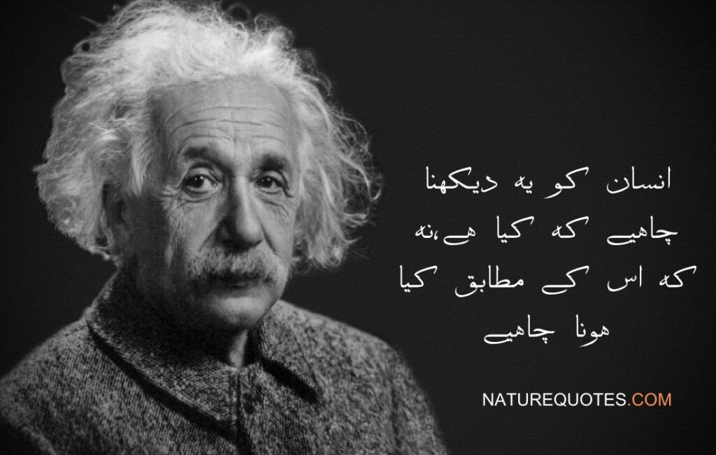 Albert Einstein Quotes