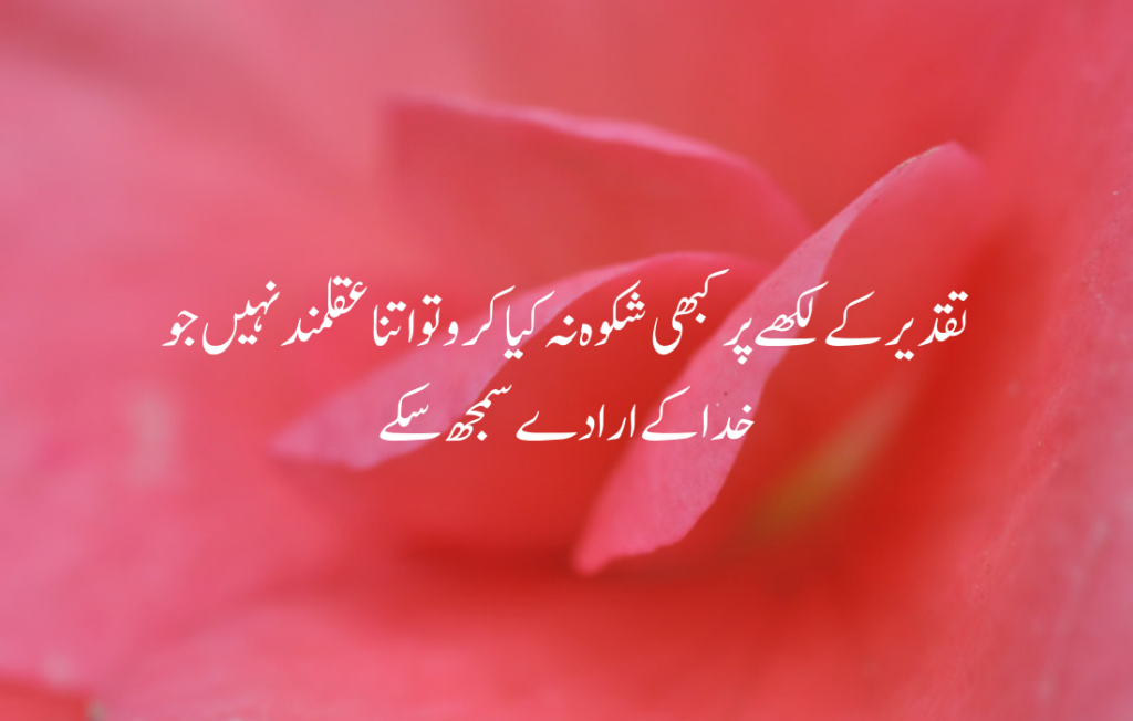 Urdu quotes